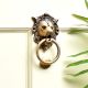 Brass Lion Head Ring Door Knocker